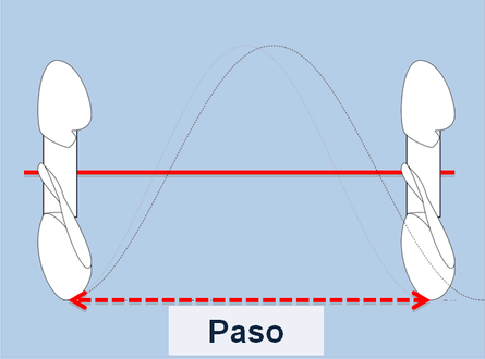 paso